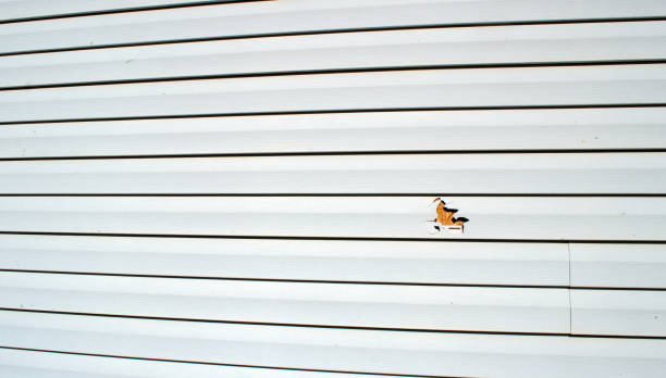 Historical Building Siding Restoration in Pleasure Point, CA